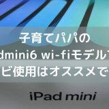 iPadmini6 wi-fiモデルでのカーナビ使用はオススメできない理由